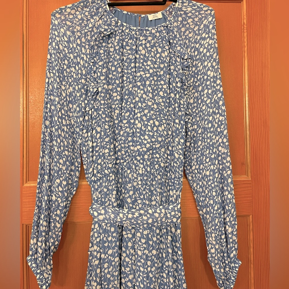 Aritzia (Little Moon) long sleeve printed blue maxi dress